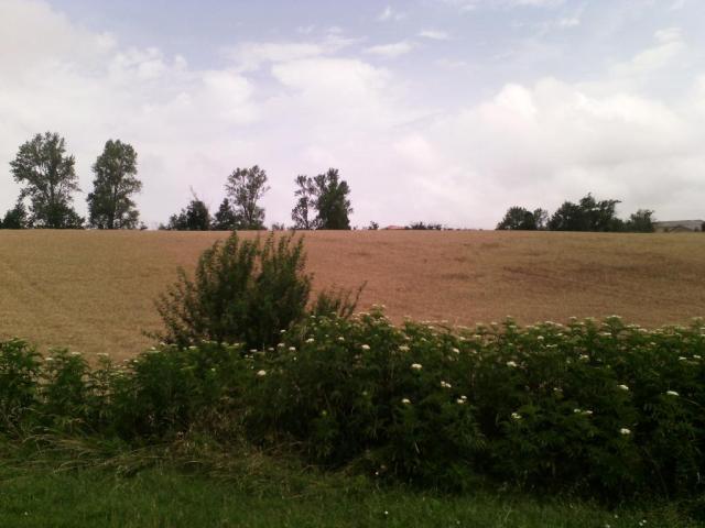 Location appartement T2 Nailloux - Photo 8