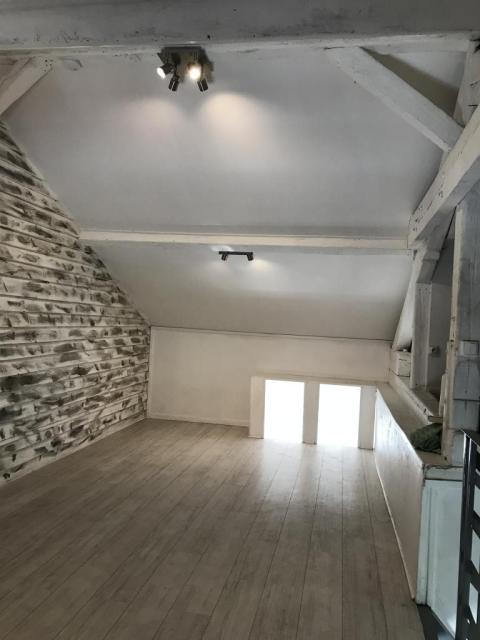 Location appartement T3 Lyon 8 - Photo 5