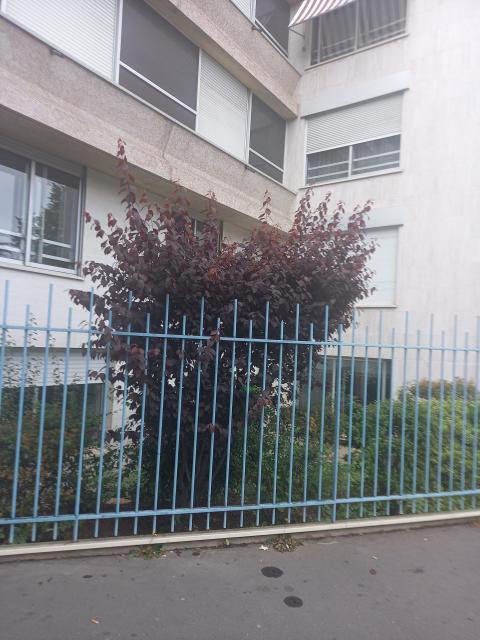 Location studio Paris 17 - Photo 9