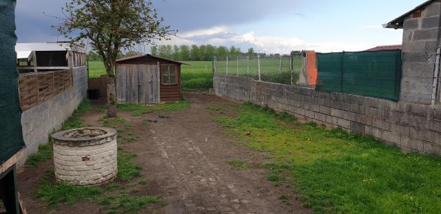 Location maison F5 Neuville sur Escaut - Photo 4