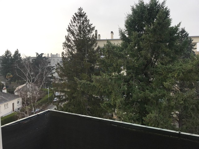 Location appartement T2 Tours - Photo 10