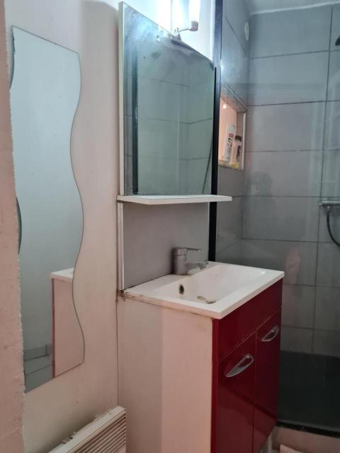 Location studio Neuville sur Saone - Photo 2