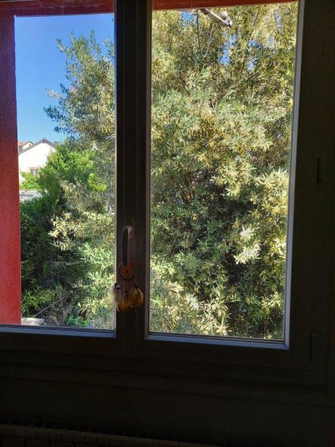 Location chambre Gentilly - Photo 3