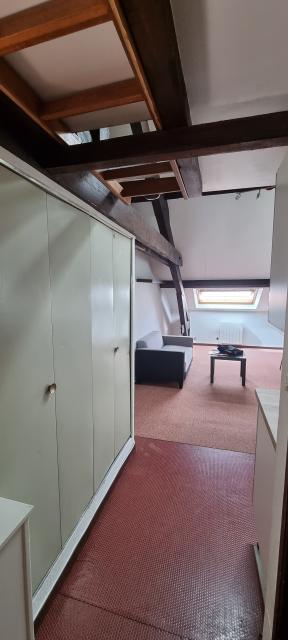 Location appartement T1 Nancy - Photo 7