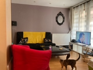 Location chambre Lyon 3 - Photo 2