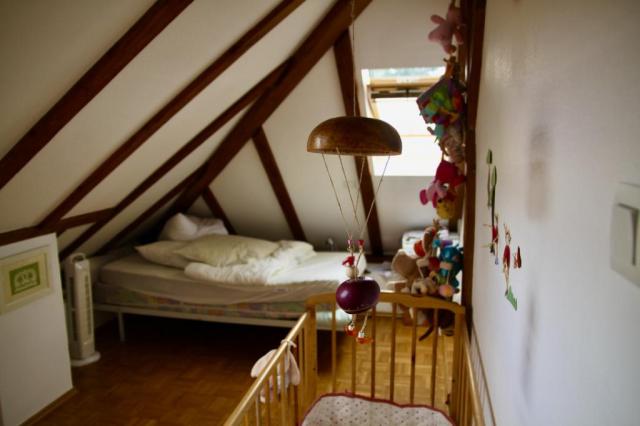 Location appartement T4 Strasbourg - Photo 3