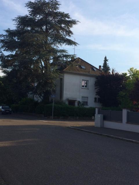 Location appartement T4 Strasbourg - Photo 6