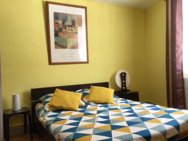 Location appartement T2 Colmar - Photo 7