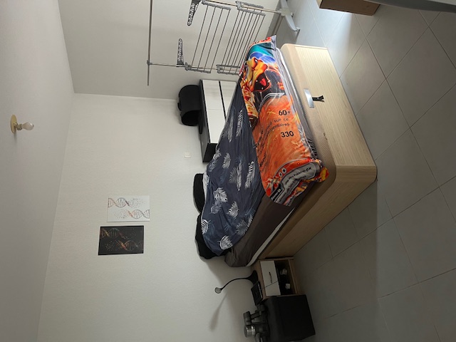 Location appartement T2 Toulouse - Photo 8