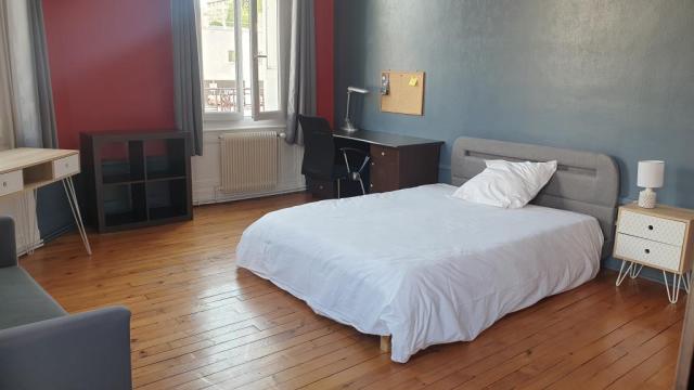 Location appartement T4 St Etienne - Photo 5