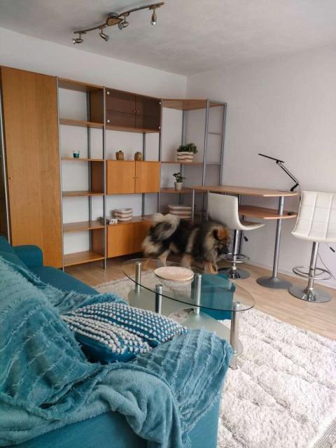 Location appartement T2 Merignac - Photo 6