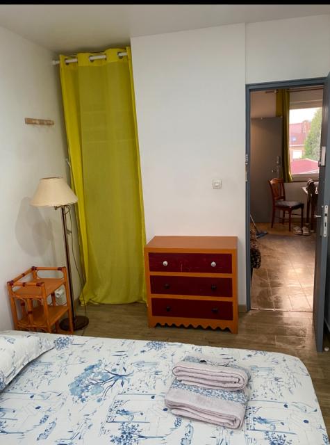 Location appartement T3 Lille - Photo 7