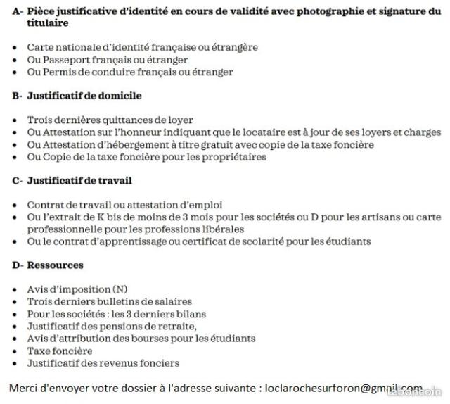 Location appartement T2 La Roche sur Foron - Photo 3