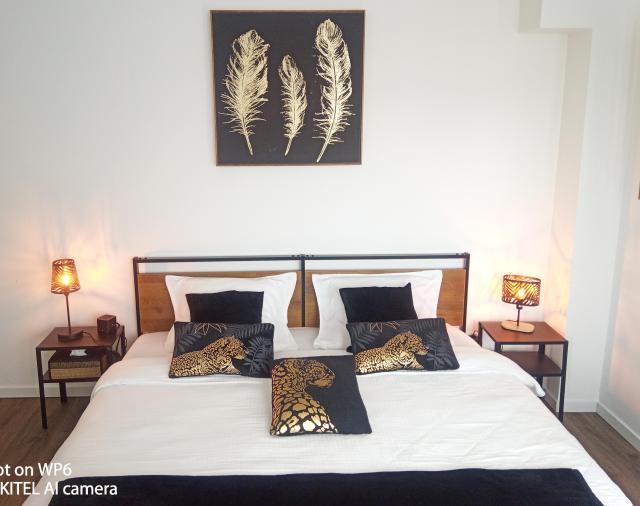 Location appartement T2 Tartas - Photo 6
