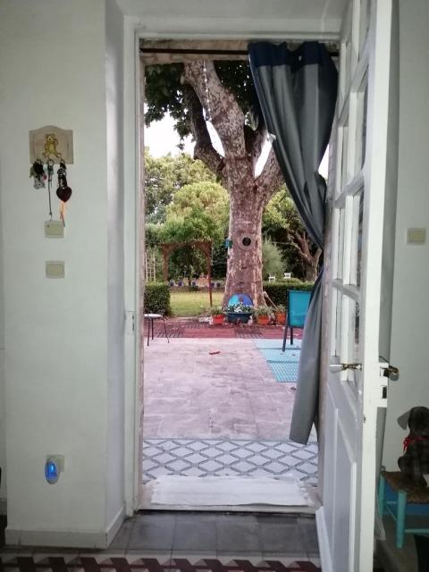 Location chambre Avignon - Photo 2