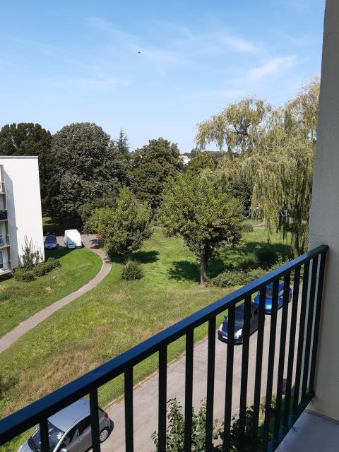 Location appartement T3 Mulhouse - Photo 3