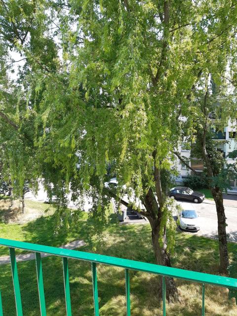 Location appartement T3 Mulhouse - Photo 7