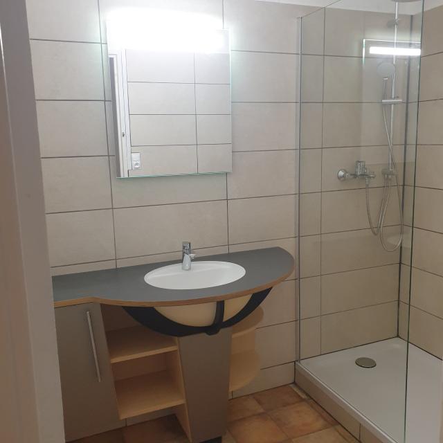 Location appartement T3 Strasbourg - Photo 4