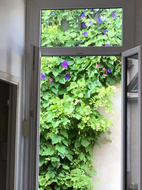 Location appartement T4 Nimes - Photo 7