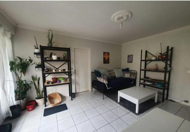 Location appartement T3 Palaiseau - Photo 3