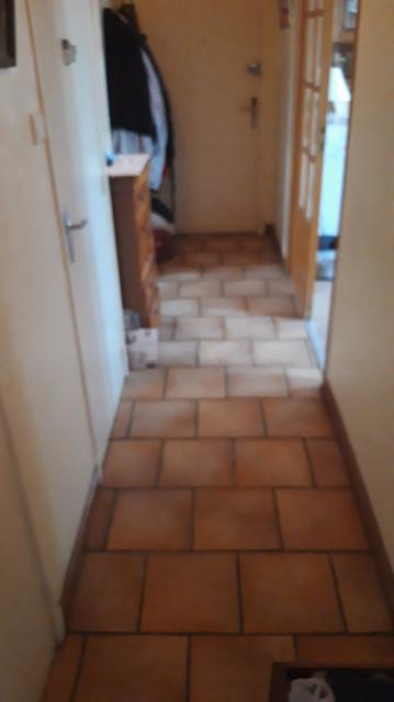 Location appartement T3 Toulouse - Photo 4