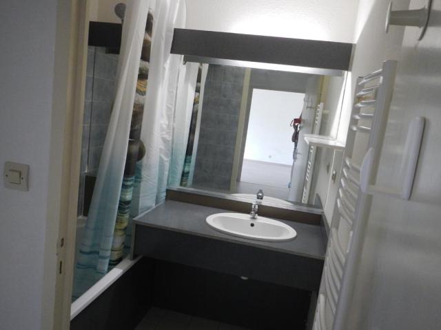 Location appartement T2 Grenoble - Photo 4