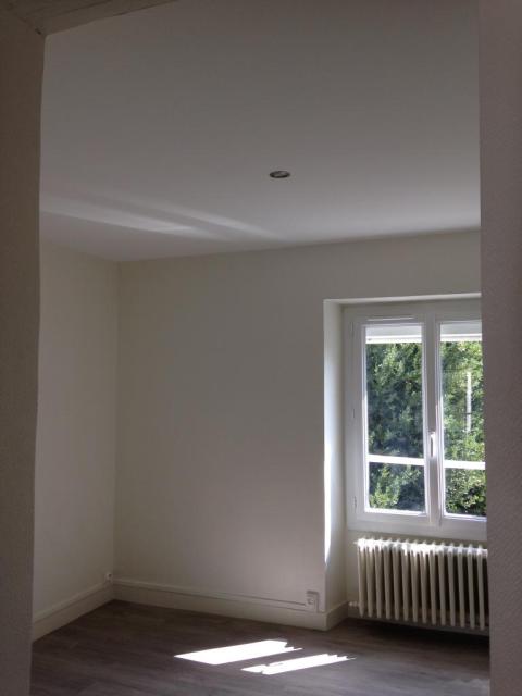 Location appartement T2 Angers - Photo 3