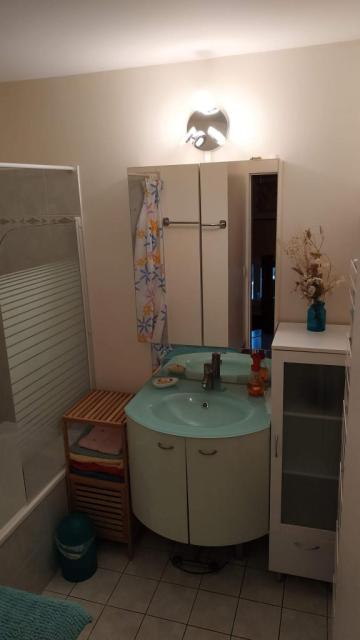 Location appartement T2 Lyon 6 - Photo 4