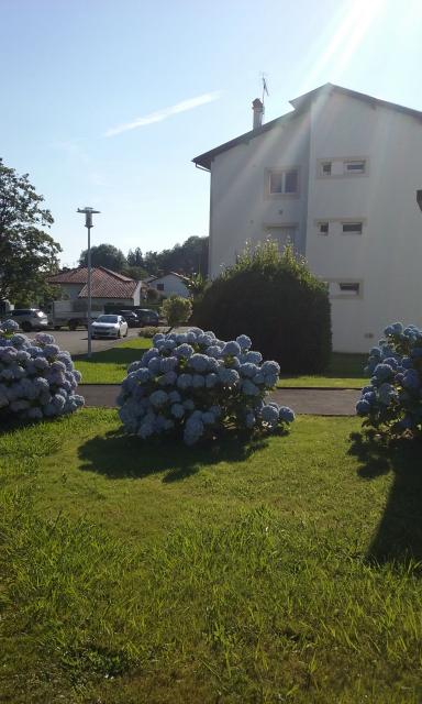 Location appartement T2 Cambo les Bains - Photo 2