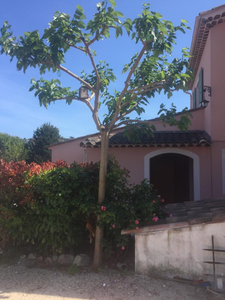 Location chambre Vallauris - Photo 1