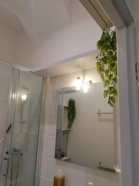 Location appartement T1 Villeurbanne - Photo 4