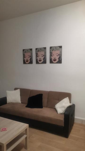 Location appartement T1 Villeurbanne - Photo 5
