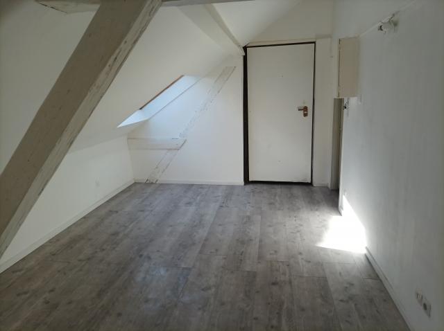 Location appartement T3 Colmar - Photo 2