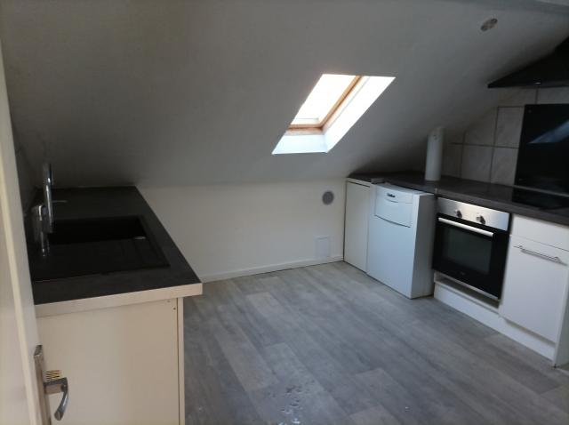 Location appartement T3 Colmar - Photo 3