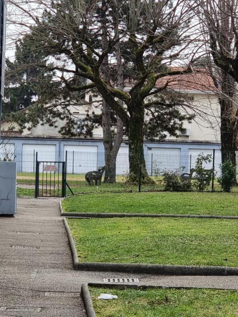 Location appartement T3 Seyssins - Photo 6