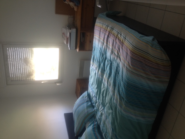 Location appartement T2 Cugnaux - Photo 3