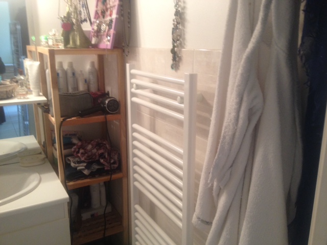 Location appartement T2 Cugnaux - Photo 7
