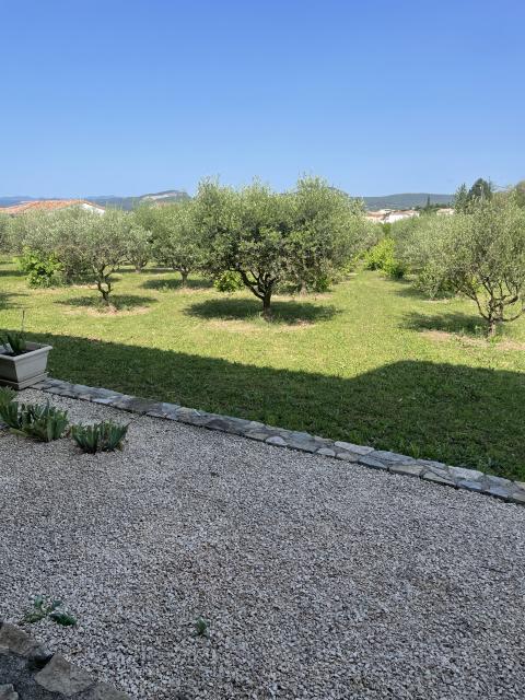 Location appartement T2 St Christol les Ales - Photo 3