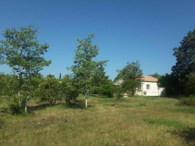 Location maison F4 Saumane de Vaucluse - Photo 6