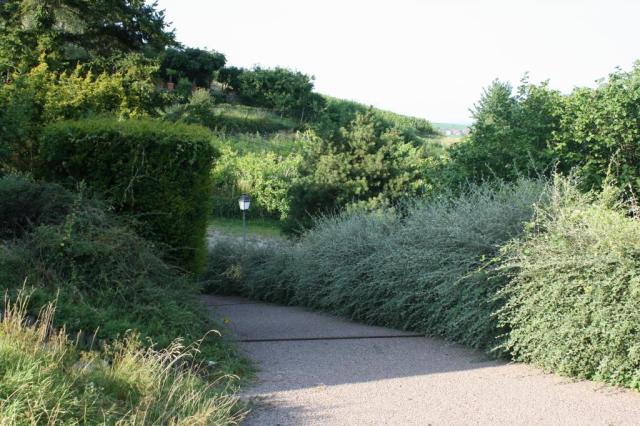 Location maison F5 Gueberschwihr - Photo 3