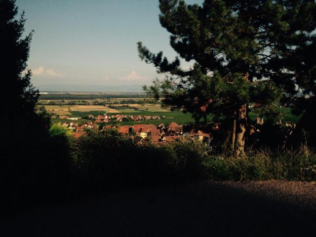 Location maison F5 Gueberschwihr - Photo 8