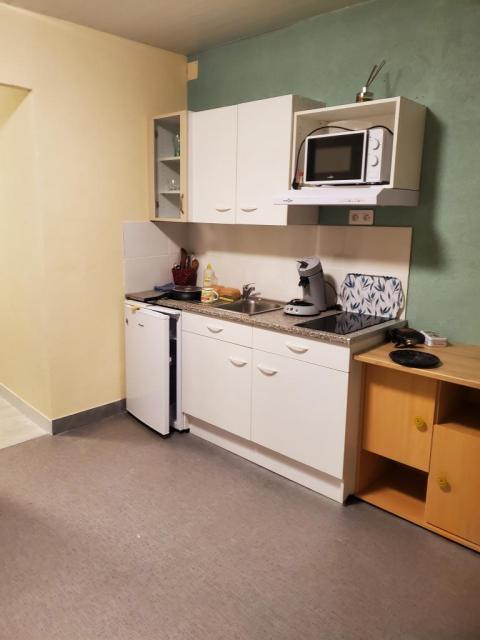 Location appartement T2 Ste Suzanne - Photo 2