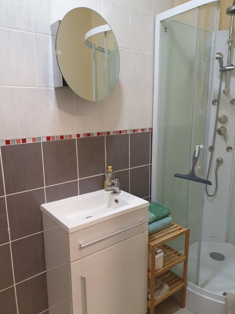 Location appartement T2 Ste Suzanne - Photo 8