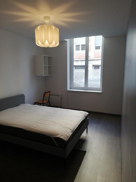 Location appartement T5 St Etienne - Photo 3