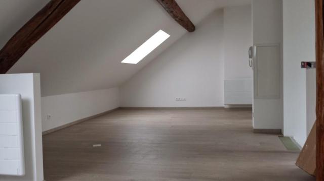 Location appartement T2 Sarreguemines - Photo 3
