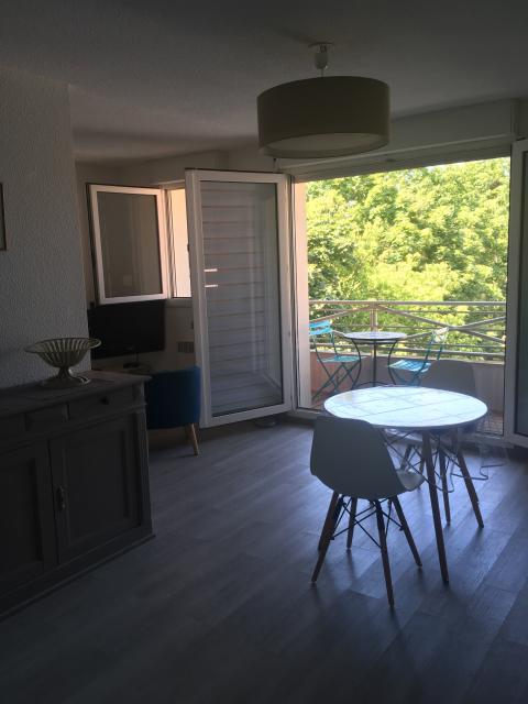 Location appartement T1 Blagnac - Photo 8