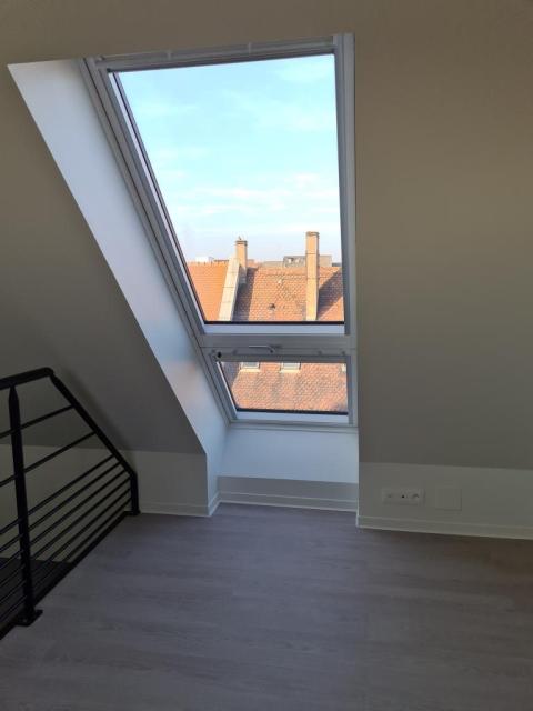 Location appartement T2 Strasbourg - Photo 2