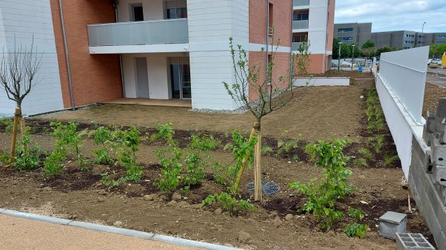 Location appartement T3 Colomiers - Photo 2