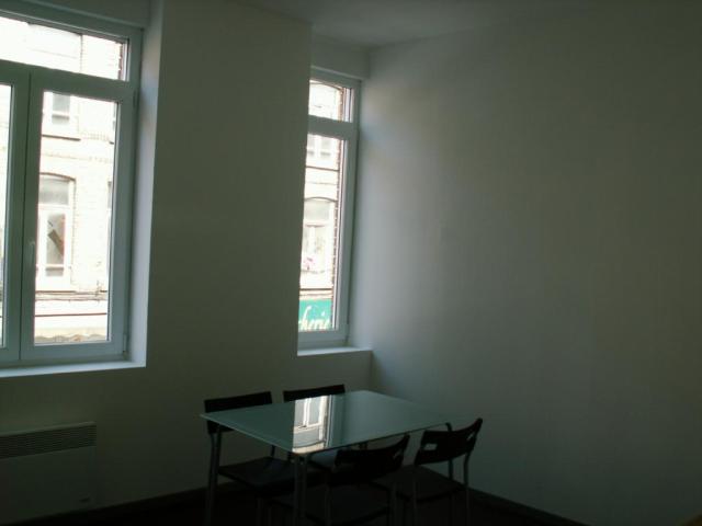 Location appartement T2 Lille - Photo 6