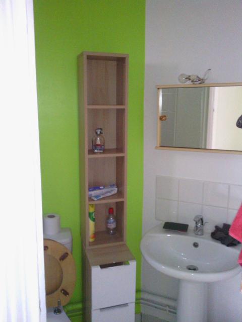 Location appartement T2 Paris 19 - Photo 4